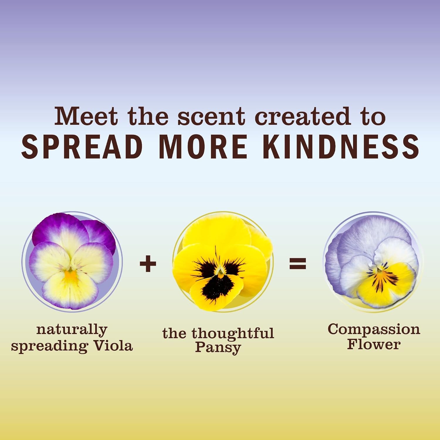 MRS. MEYER\'S CLEAN DAY Hand Soap, Made with Essential Oils, Biodegradable Formula, Compassion Flower, 12.5 fl. oz - Pack Of 3 - Image 5