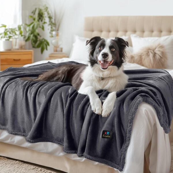 Waterproof Pet Blanket, Liquid Pee Proof Dog Blanket for Sofa Bed Couch, Reversible Sherpa Fleece Furniture Protector Cover for Small Medium Large Dogs Cats, Dark Gray X-Large（85