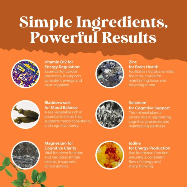 Herbal Thyroid Support Complex - Potent Kelp Iodine Supplement with L Tyrosine, Bladderwrack, Selenium & Pure Ashwagandha for Hormone Balance - Mood & Energy Dietary Pills - 60 Capsules - Image 5