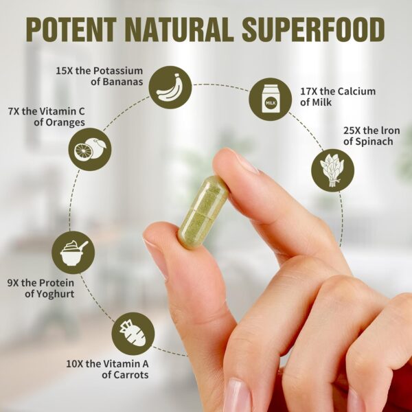 Moringa Powder Capsules, Organic Supplement 800mg Green Superfood from Moringa Leaf, Super Supplement Supports for Energy, Gut & Skin Health, Essential Vitamins, Vegan - 60 Capsules - Image 3