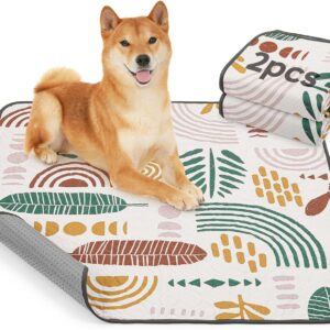 LOOBANI Washable Pee Pads for Dogs: 2-Pack Super Absorbent Whelping Pads, 100% Waterproof and Non-Slip Dog Pee Pads Washable for Potty Training, Playpens, Crates, Floors, Beds, and Couches, 36x48 in