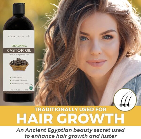 Viva Naturals Organic Castor Oil for Eyelashes and Eyebrows (16 fl oz) - USDA Certified Organic, Cold Pressed Castor Oil, Natural Hair Oil & Eyelash Serum, Beauty Kit Included - Image 2